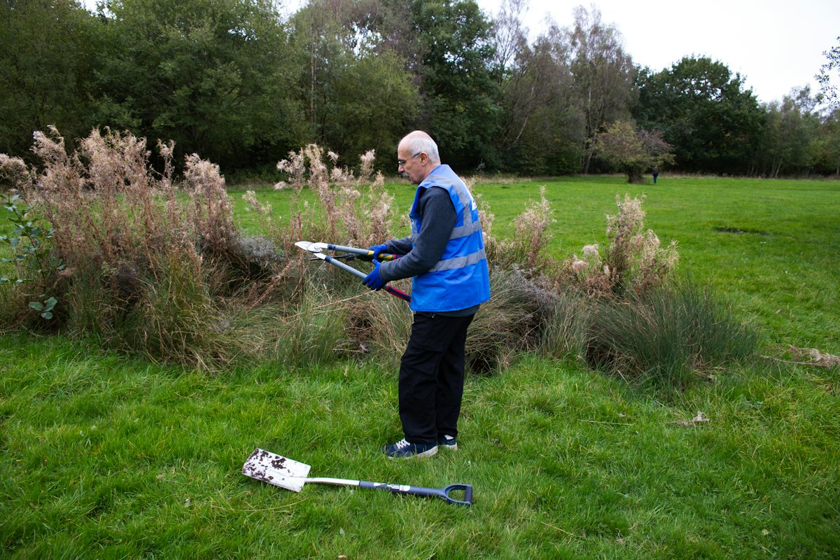 An older man trimming bushes outdoors